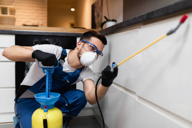 Best Pest Prevention Services  in Pulaski, VA