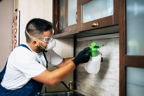 Best Pest Control for Homes  in Pulaski, VA