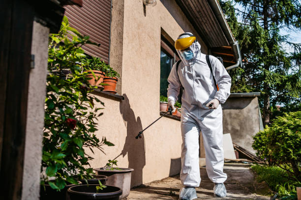 Reliable Pulaski, VA Pest Control Solutions