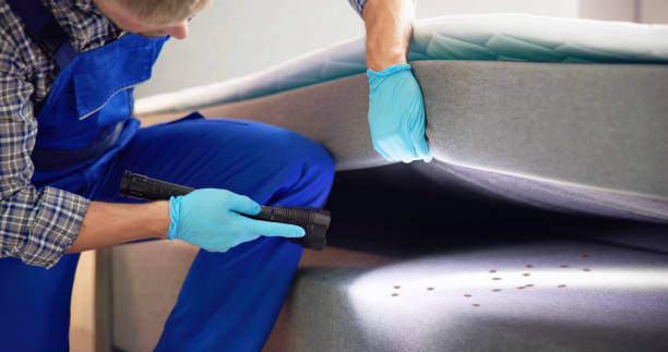 Best Termite Control Services  in Pulaski, VA
