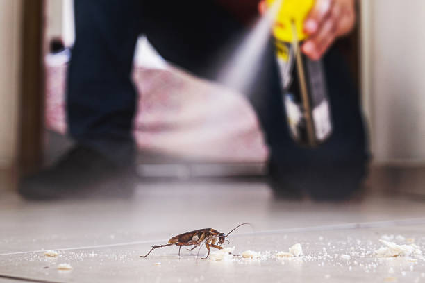 Best Wildlife Control Services  in Pulaski, VA